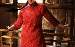 梅艳芳菲剧情介绍